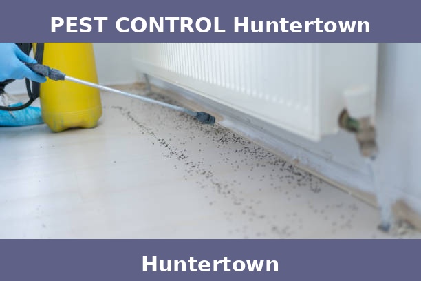 PEST CONTROL Huntertown